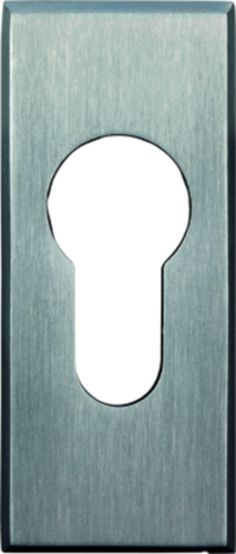 Rozetė stačiakampė PZ, 10mm., ner.pl, 30x70x10mm (50)